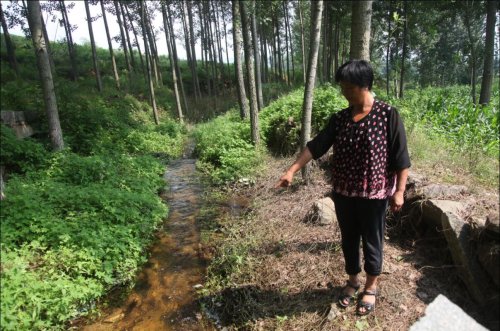平邑风雹灾害:一亩玉米地只剩几十根站立_鲁南