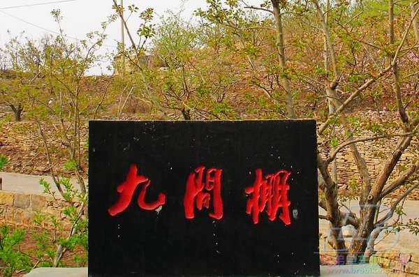 新春走基层|刘嘉坤的春节:新疆播种致富花