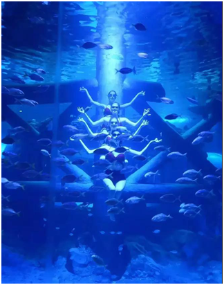 临沂极地海洋世界“五一”向劳模免费开放