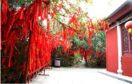 2018中国·蒙山温河祈福增寿重阳封坛盛典即将隆重开幕！