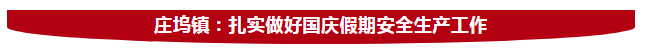 庄坞镇gdp_庄坞镇为流出育龄人群开展健康服务千里行活动