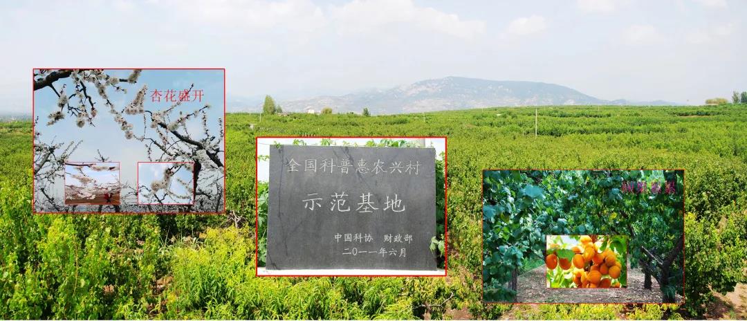 擘画夯基新蓝图 阔步奋战新征程