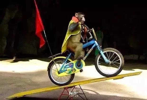 有纸笔有人骑车猜成语_看图猜成语