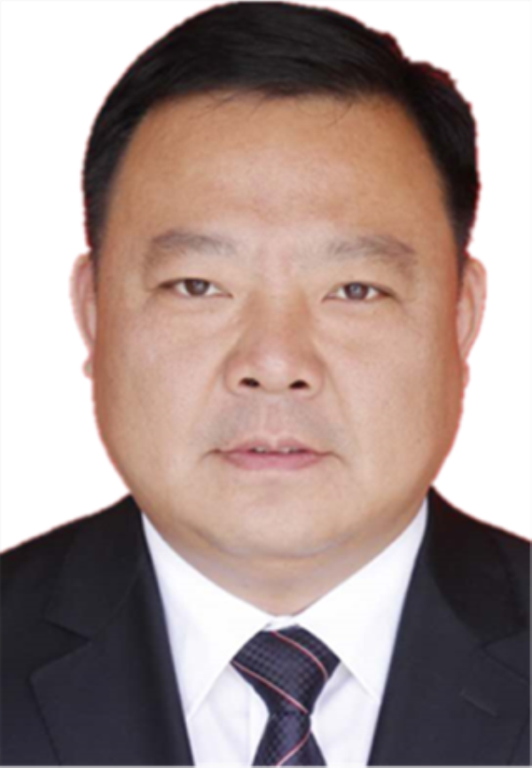 杨宁_编辑.png