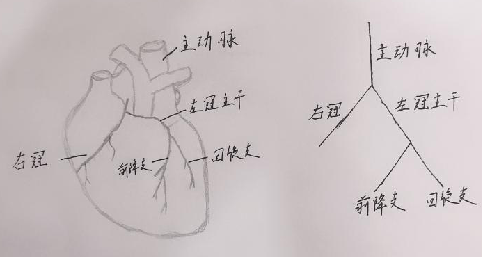 寿姓人口_覃姓人口分布图(3)