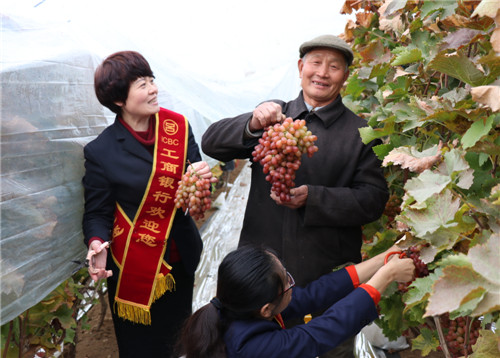 工行山东临沂莒南支行搭建“融e购”电商平台帮助山区村民脱贫致富传佳话。.JPG
