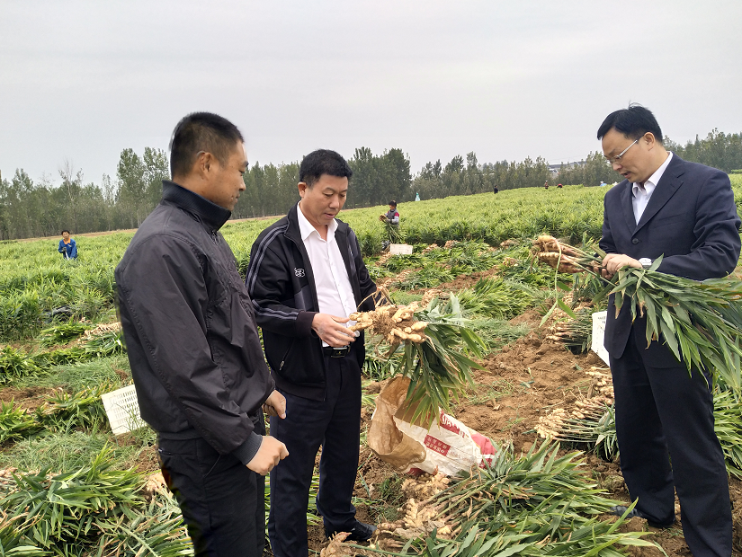 微信截图_20210609113427.png
