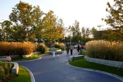 2022年，临沂中心城区将建设“口袋公园”1